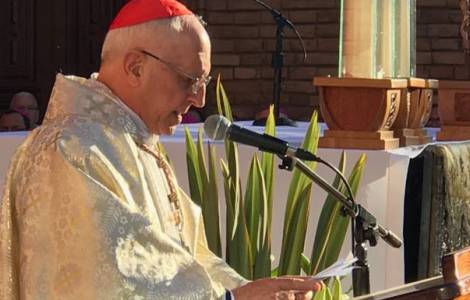 El Cardenal Filoni abre el CAM 5: “La obra misione